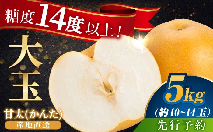 [伊万里産]山和農園の梨「甘太(かんた)」5kg