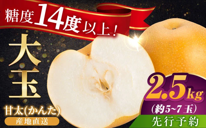 [伊万里産]山和農園の梨「甘太(かんた)」2.5kg