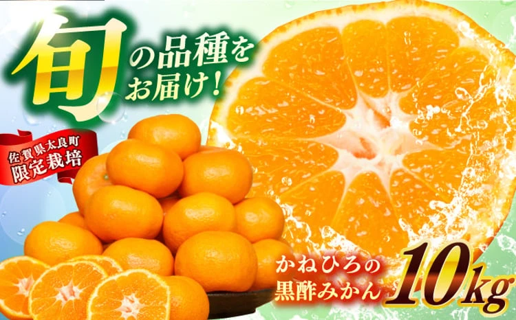 かねひろの黒酢みかん10kg