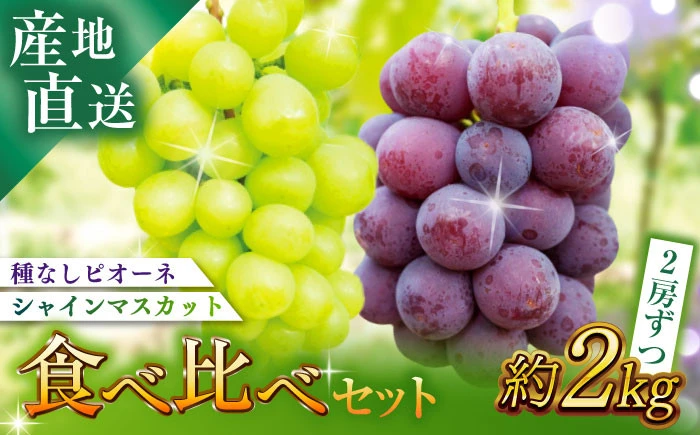 【セット】[伊万里産]山和農園の種なしピオーネ＆シャインマスカット約2kg（各2房ずつ）