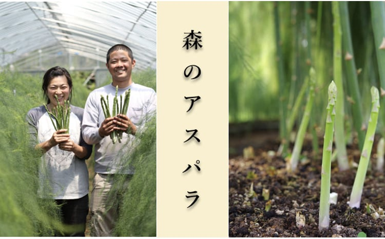 安東さんの『森のアスパラ』１ｋｇ【A-noker