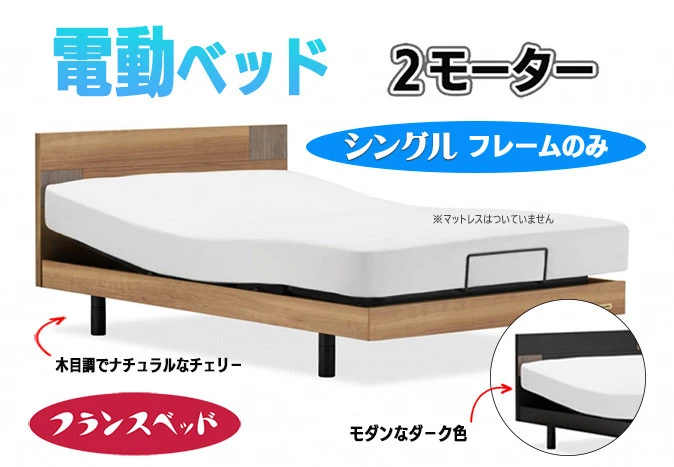 【フランスベッド】薄型電動ベッドUD-101F （2M）レッグタイプ シングル