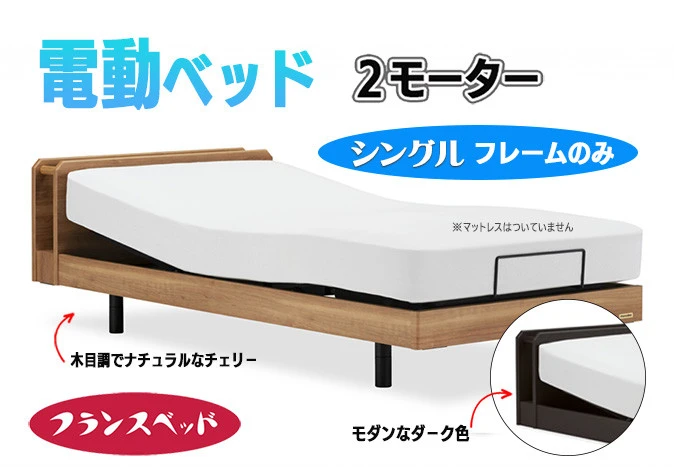 【フランスベッド】薄型電動ベッド UD-102C （2M）レッグタイプ シングル