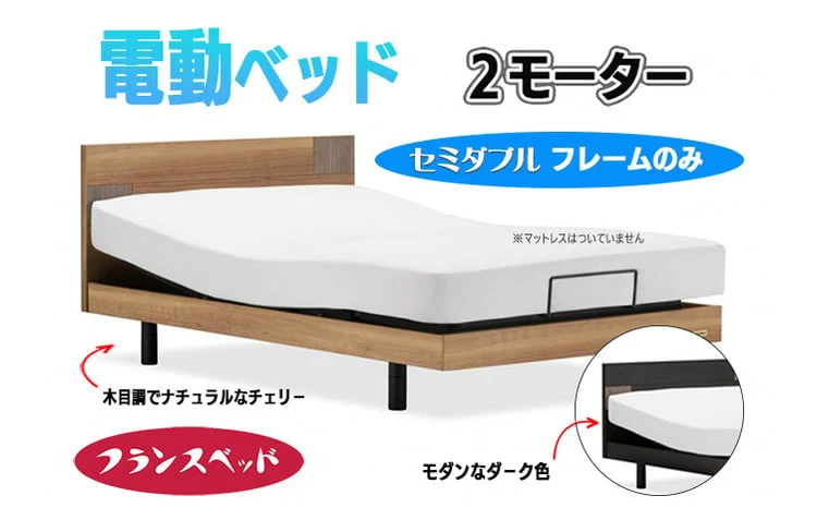 【フランスベッド】薄型電動ベッドUD-101F （2M）色：ダーク レッグタイプ セミダブル