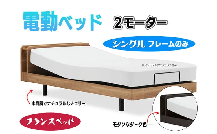 【フランスベッド】薄型電動ベッドUD-102C （2M）色：ダーク レッグタイプ シングル
