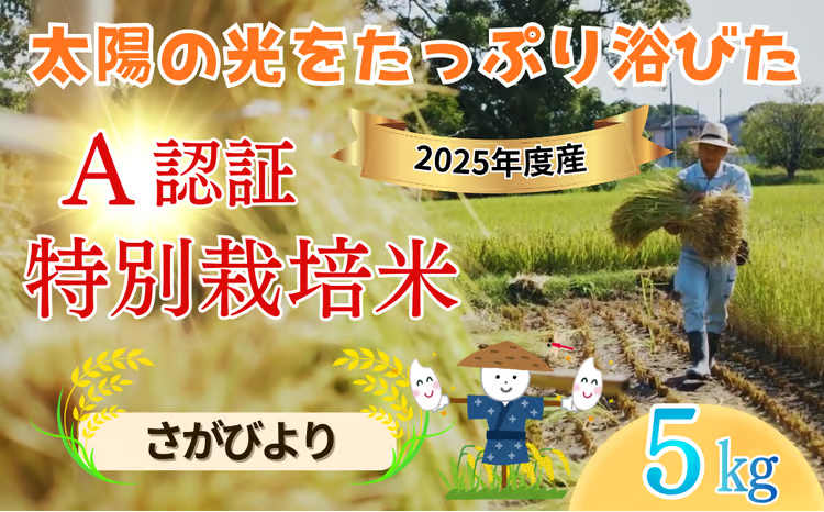 【玄米・白米】「佐賀県特別栽培農産物」A分類（化学合成農薬：不使用 化学肥料：不使用）認定「さがびより」5キロ｜種まきの会（大隈義昭さん＆秋山学さん）無垢米｜九州 佐賀県吉野ケ里町産｜化学農薬使用せず・化学肥料使用せず｜佐賀県特別栽培農産物「A」認定
