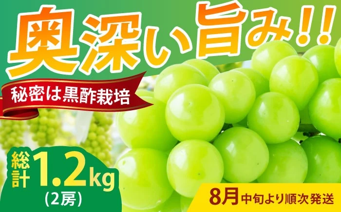 かねひろの黒酢シャインマスカット約1.2kg(2房)