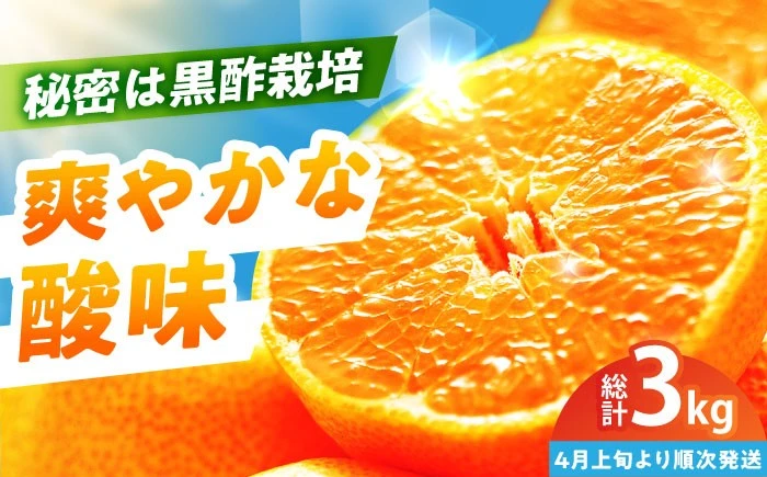 かねひろの黒酢不知火3kg
