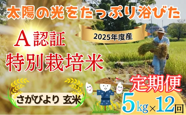 【定期便】全12回 さがびより【玄米】佐賀県特別栽培農産物 A分類（化学合成農薬：不使用 化学肥料：不使用）5キロ｜九州 佐賀県吉野ケ里町産 種まきの会（大隈義昭さん＆秋山学さん）無垢米