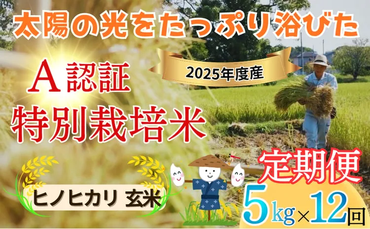 【定期便】全12回 ヒノヒカリ【玄米】佐賀県特別栽培農産物 A分類（化学合成農薬：不使用 化学肥料：不使用）5キロ｜九州 佐賀県吉野ケ里町産 種まきの会（大隈義昭さん＆秋山学さん）無垢米