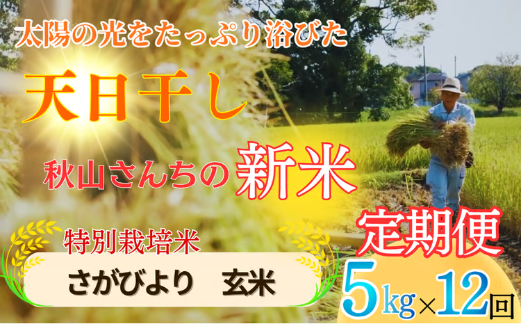 【定期便】 全12回【2026年度】秋山さんの新米 さがびより 【玄米】5kg x12回