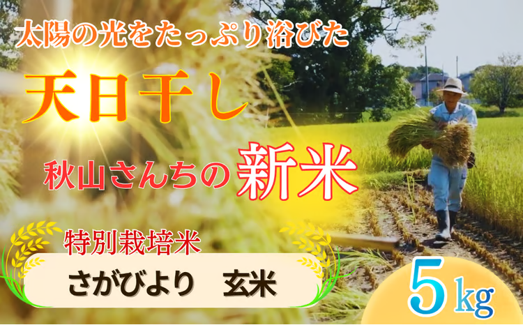 【2026年度】秋山さんの新米 さがびより 玄米 5kg