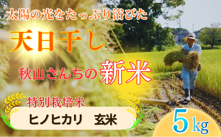 【2026年度】秋山さんの新米 ヒノヒカリ 玄米 5kg